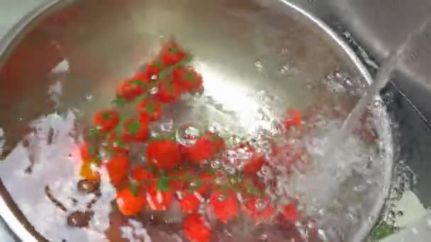 Kirschtomaten im Wasser. — Stockvideo