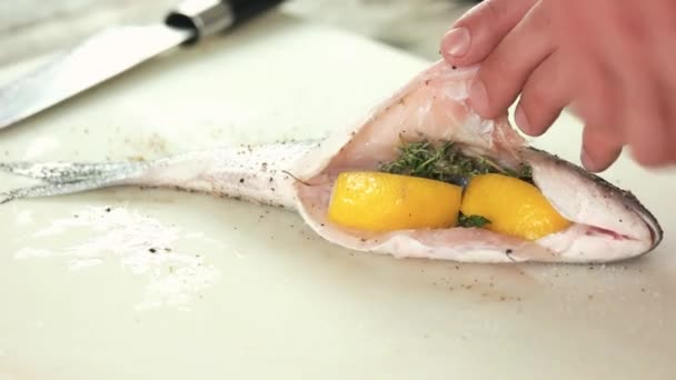 Händer som fyllning fisk med citron. — Stockvideo