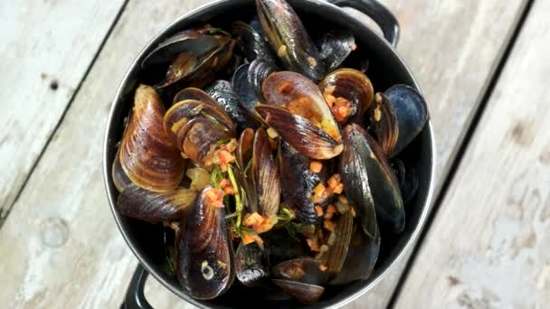 Steamed mussels in white wine. — Stock Video