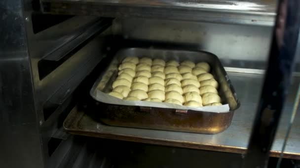 Blechpfanne mit Ravioli im Ofen. — Stockvideo