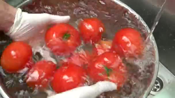 Hands washing ripe tomatoes. — Stock Video