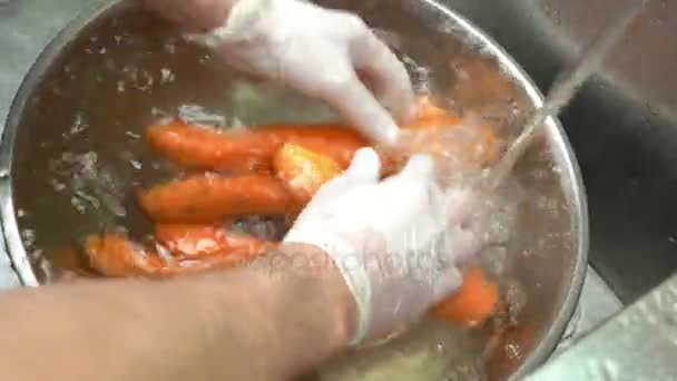 Lavage des mains carottes . — Video