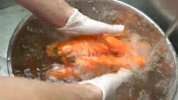 Hands washing carrots in bowl. — Stock Video