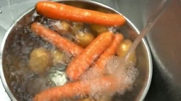 Hände waschen Kartoffeln und Karotten. — Stockvideo