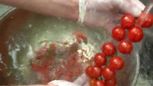 チェリー トマトをクローズ アップ. — ストック動画