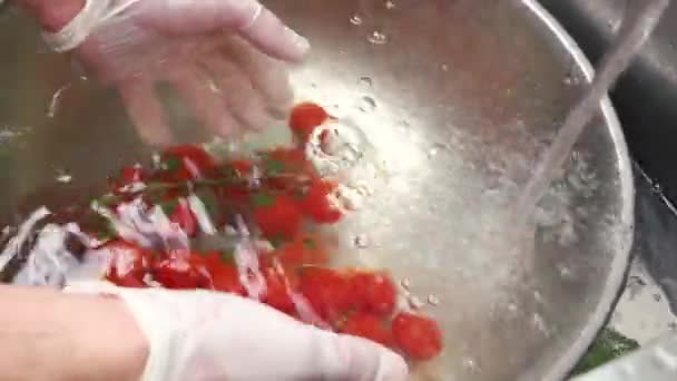 Manos masculinas lavando tomates cherry . — Vídeos de Stock
