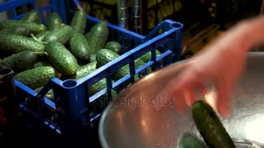 El alarak salatalık sandık üzerinden.