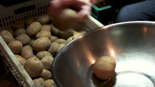 Mão masculina e batatas cruas . — Vídeo de Stock