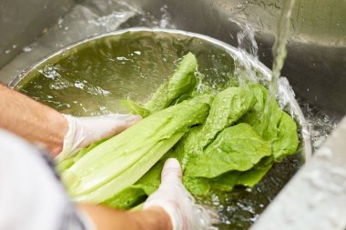 Bir kâse su yıkama taze yeşil salata.