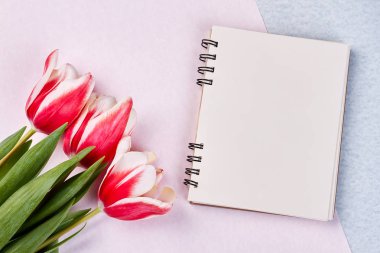 Pembe Laleler ve not defteri