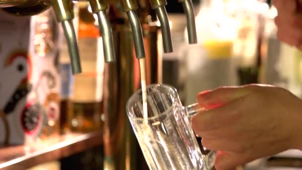 Barman proudí čerstvý světlo pivo, slow-mo. — Stock video