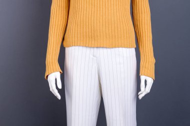 Manken kadın giysileri, kırpılmış görüntü.