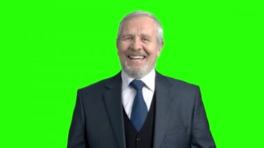 Neşeli üst düzey girişimci, yeşil arka plan.