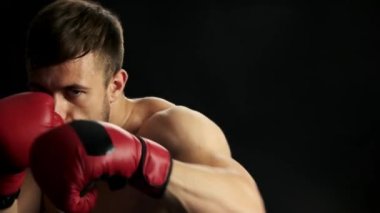 siyah arka plan üzerine genç boksör fighter.