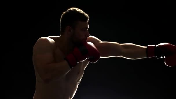 Jovem desportista bonito em luvas é boxe . — Vídeo de Stock