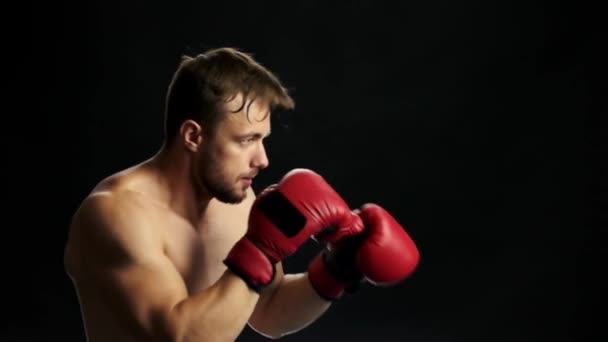 Schöner Kämpfer in roten Handschuhen boxt. — Stockvideo