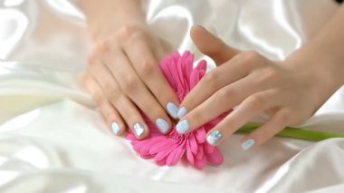 Gerbera, ağır çekim dokunmadan eller.