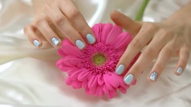 Gerbera, yavaş hareket ile manikürlü eller.
