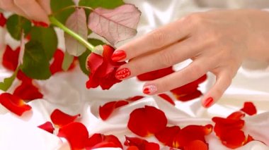 Eller ve gül beyaz ipek, ağır çekim.