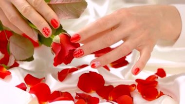 Kırmızı manikür ve kırmızı gül, ağır çekim.