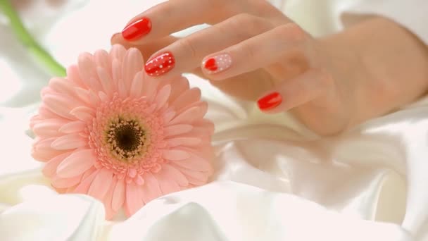 Hands touching gerbera, slow motion. — Stock Video