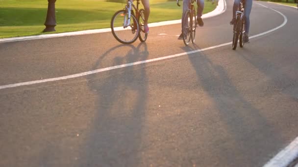 Quatro amigos de bicicleta na estrada . — Vídeo de Stock