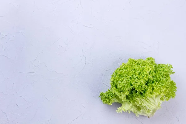 Салат из листьев салата и пространство для копирования . — стоковое фото