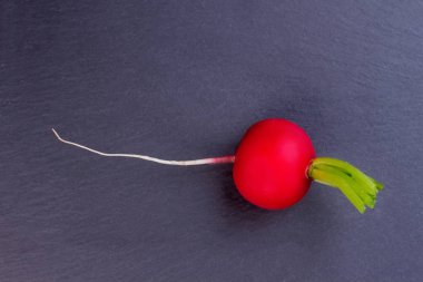 Üstten Görünüm koyu arka plan üzerinde kırmızı turp.