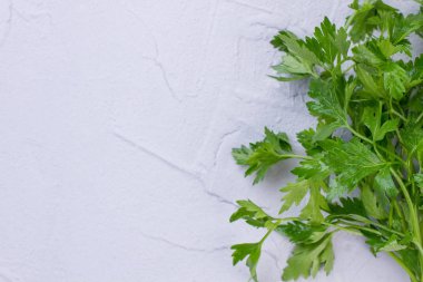 Demet taze Bahçe maydanoz, metin alanı.