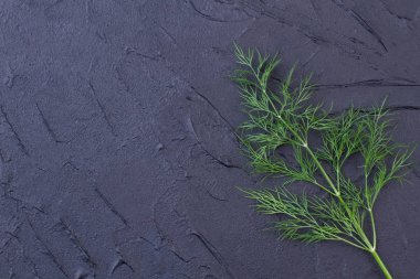 Dal taze dereotu ve kopya alanı.