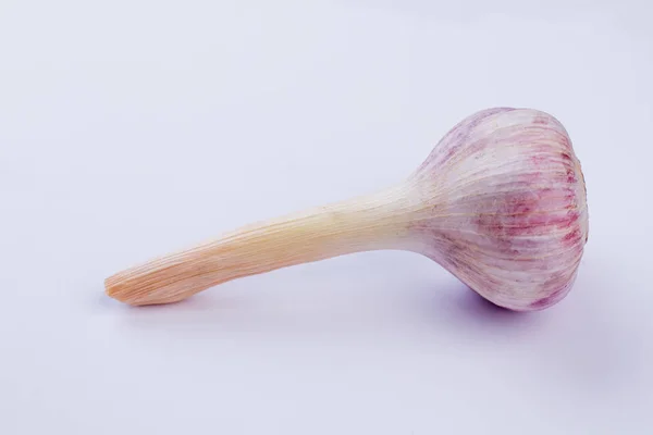 Fresco giovane aglio rosa con un lungo gambo . — Foto Stock
