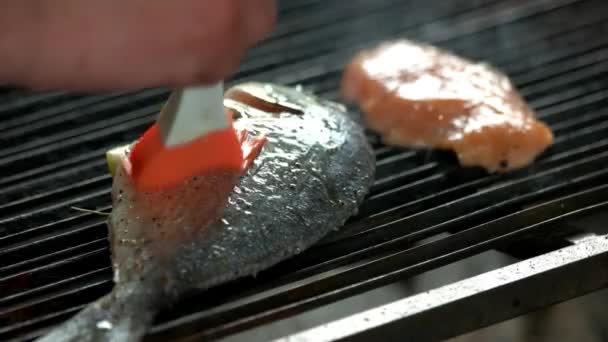 Ryby na grilu, basting štětec. — Stock video