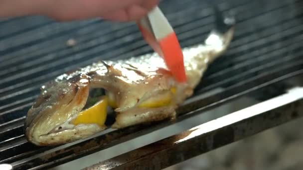 Dorado auf dem Grill, Pinsel basteln. — Stockvideo