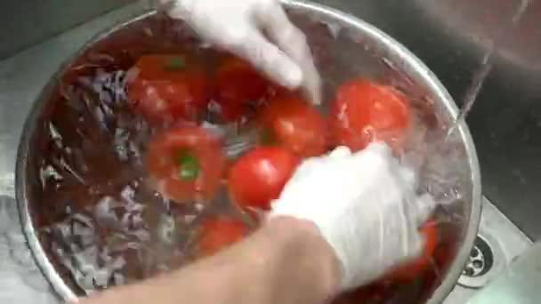 Tomates frescos em água . — Vídeo de Stock