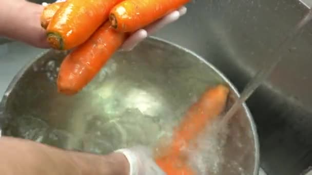 Manos lavando zanahorias frescas . — Vídeo de stock