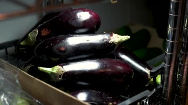 Pila de berenjenas maduras . — Vídeo de stock