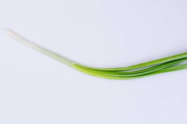 beyaz zemin üzerine taze soğan.