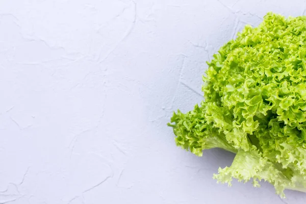 Salad leaf lettuce and copy space. — Stock Photo, Image