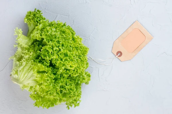 Свежий зеленый салат и чистая карточка . — стоковое фото