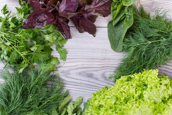 Frame from fresh herbs and vegetables.