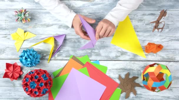 Mãos fazendo origami engole . — Vídeo de Stock