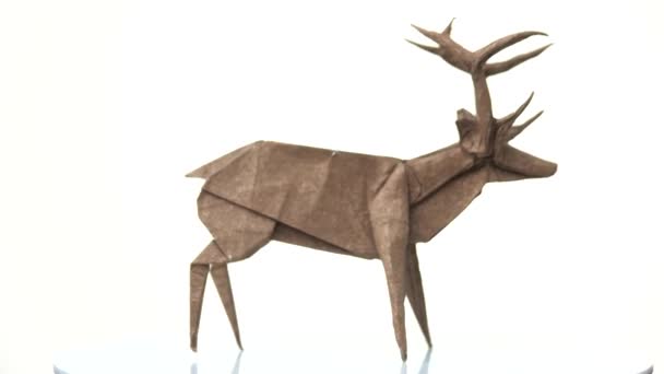白色背景的纸鹿雕像. — 图库视频影像