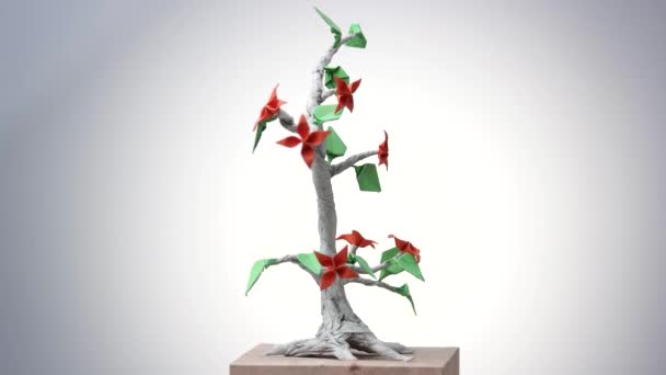 Beautiful origami bonsai. — Stock Video