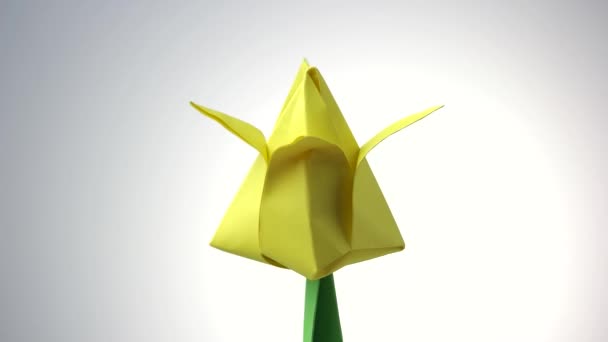 Žluté origami květina Tulipán. — Stock video