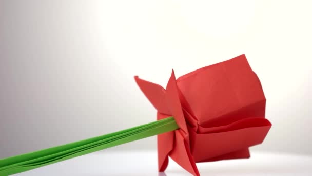 Red origami tulip flower. — Stock Video