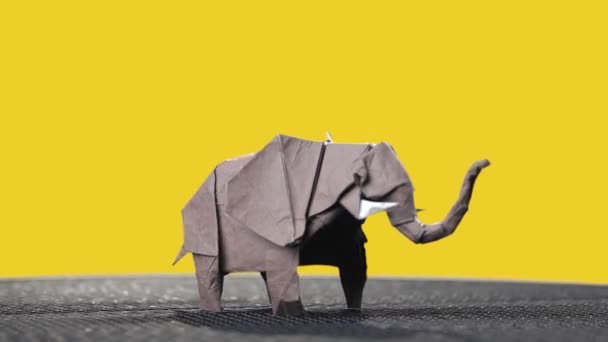 Elefante de origami sobre fondo colorido . — Vídeo de stock