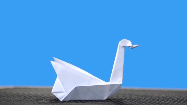 Cisne blanco en origami sobre fondo azul . — Vídeos de Stock