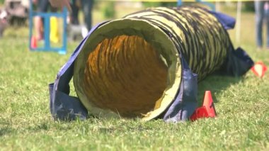 Köpek hızlı bir şekilde bir tünel içinde geliyor ve sonuna kadar geçen.