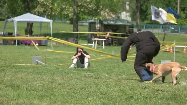 L'homme se déplace pour jeter un chien . — Video