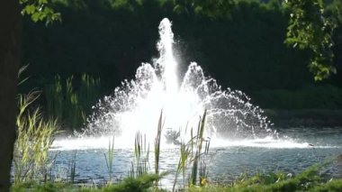 Çeşme ve doğa, ağır çekim.